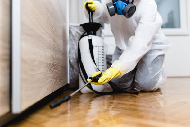 Best Pest Control Near Me  in Lochsloy, WA