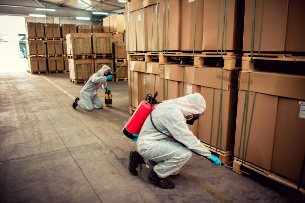 Best Emergency Pest Control  in Lochsloy, WA