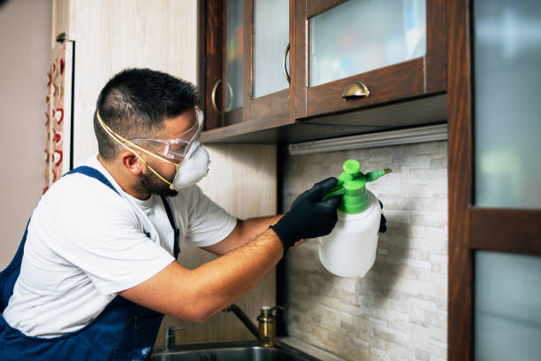 Best Bed Bug Extermination  in Lochsloy, WA
