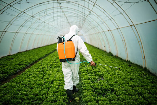 Best Local Pest Control Services  in Lochsloy, WA