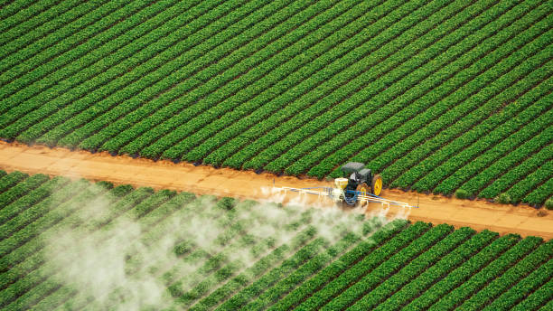 Best Insect Control  in Lochsloy, WA