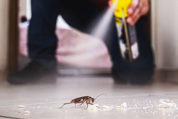 Professional Pest Control in Lochsloy, WA