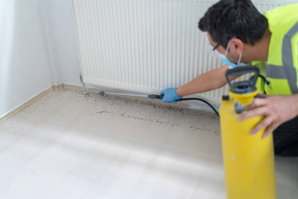 Best Residential Pest Control  in Lochsloy, WA